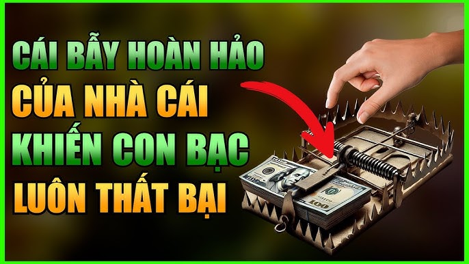 Bẫy nhà cái là gì – Cách tránh bẫy nhà cái mà bạn cần biết