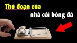 Tìm hiểu bẫy nhà cái là gì?